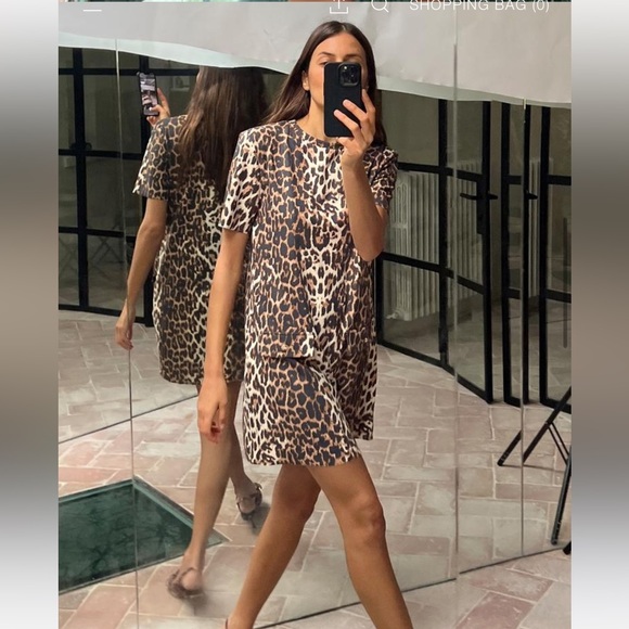 Zara Dresses & Skirts - Leopard Print Short Dress